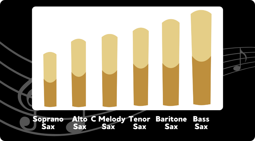 Reeds for Different Types of Saxophone